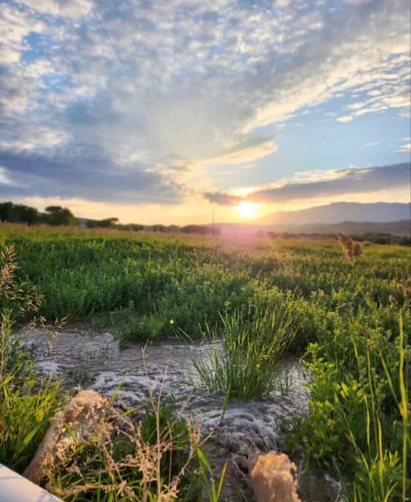 Water rushing out of irrigation pipes at sunrise in a Utah Homestead field. 