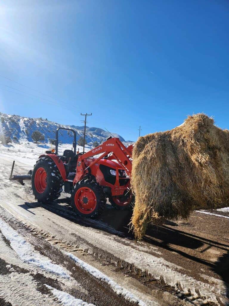 An orange Kubota tractor with a haybale the forks in the snowy Utah mountains. 