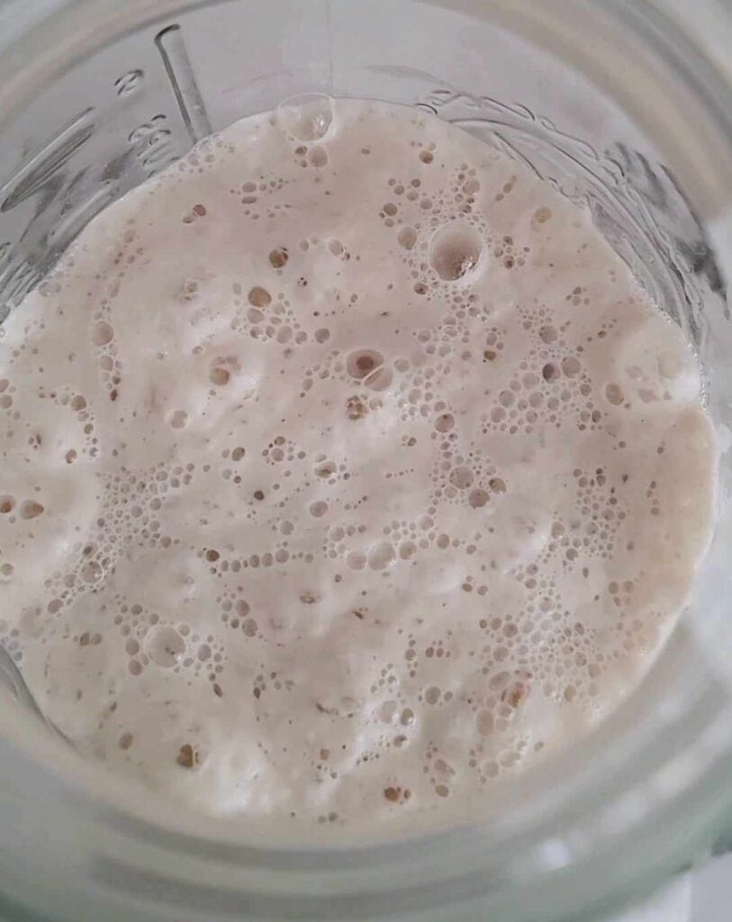 BullRise bubbly active sourdough starter from Bull Butter Co. In a mason jar