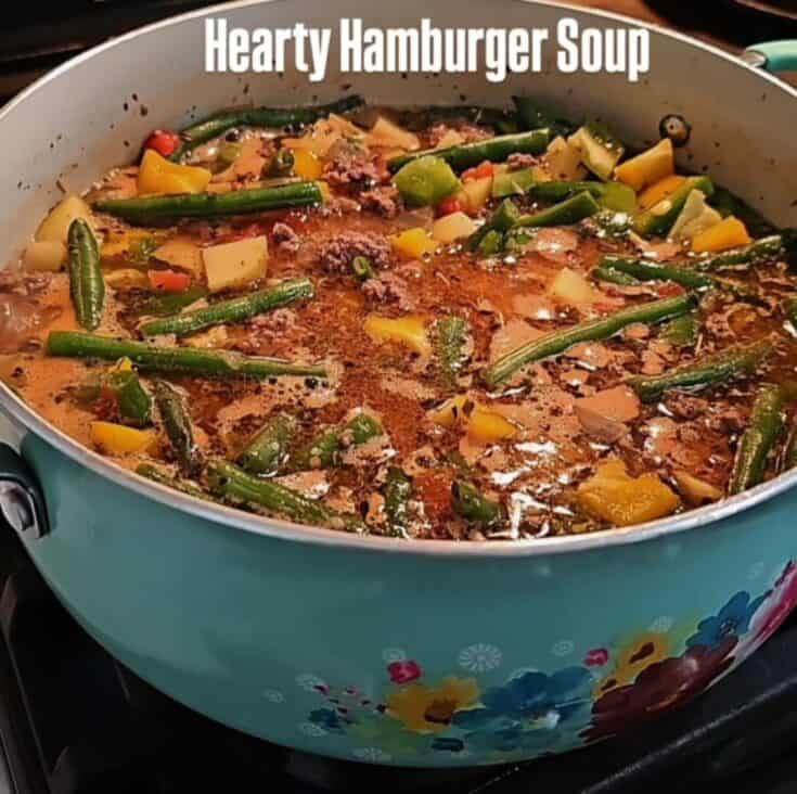 Hearty Hamburger Vegetable soup