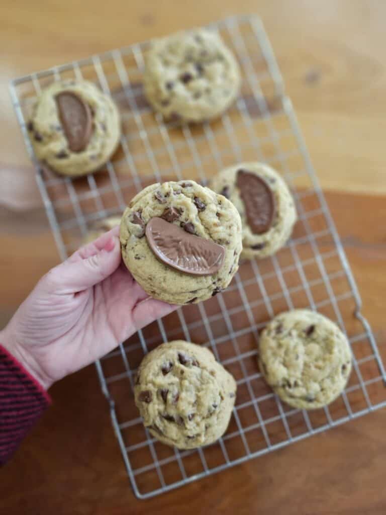 Chocolate Orange Chocolate Chip cookies. A hand holding a cookie over a cooling rack full of cookies. 